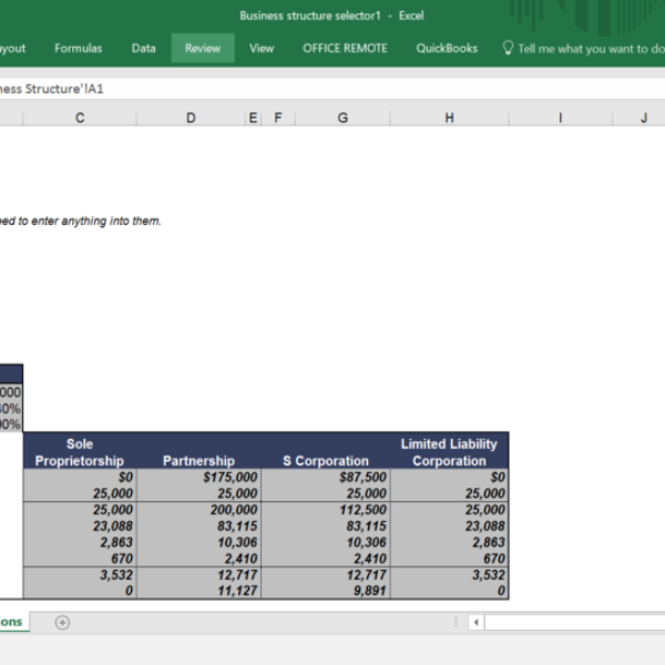 Business structure selector Microsoft Excel Worksheet Download
